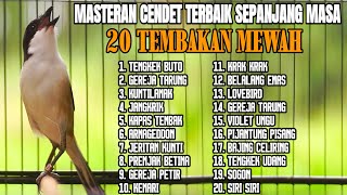 Download lagu MASTERAN BURUNG CENDET MATERI TERBAIK SEPANJANG MASA mp3