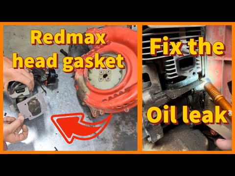 RedMax backpack blower leaking oil / RedMax Backpack Blower head gasket replacement  / DIY