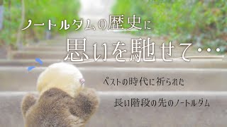 【ノートルダム①】前途多難な長い階段【歴史に思いを馳せながら】