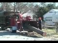 Cape Cod Tree Service