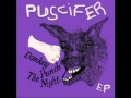 Puscifer Dear Brother 
