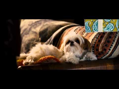 Seven Psychopaths HD Trailer
