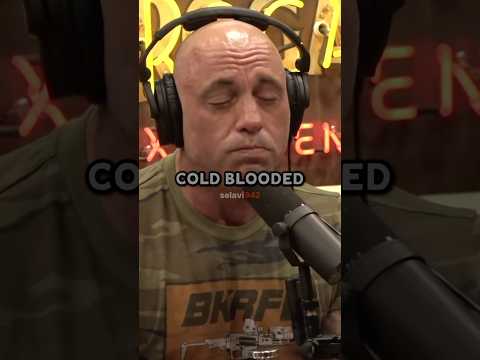 Joe Rogan On Jon Jones vs Lyoto Machida #shorts
