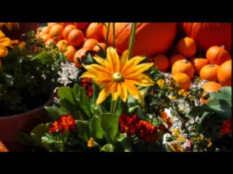 HUGO MONTENEGRO - TOMORROW'S LOVE