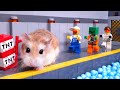 Major HAMSTER fights ZOMBIES in LEGO MINECRAFT VIRUS LAB