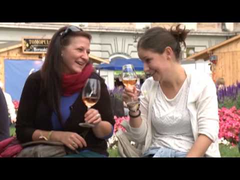 Hírek 2017. április 4.