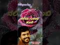 EVERGREEN KANNADA SONGS Shortsfeed Shortsviral Song Love Kannada Shankarnag Shortvideo