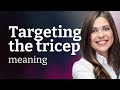 Understanding Targeting The Tricep A Guide To Fitness Vocabulary