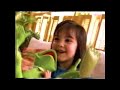 30th Anniversary Talking Kermit Toy Commercial