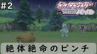 ノーマル単タイプのみで強化四天王に挑むポケモンSP【ポケットモンスター シャイニングパール】#2