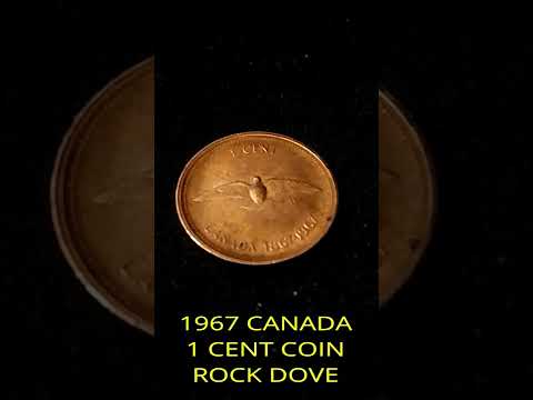 1967 CANADA 1 CENT COIN ROCK DOVE