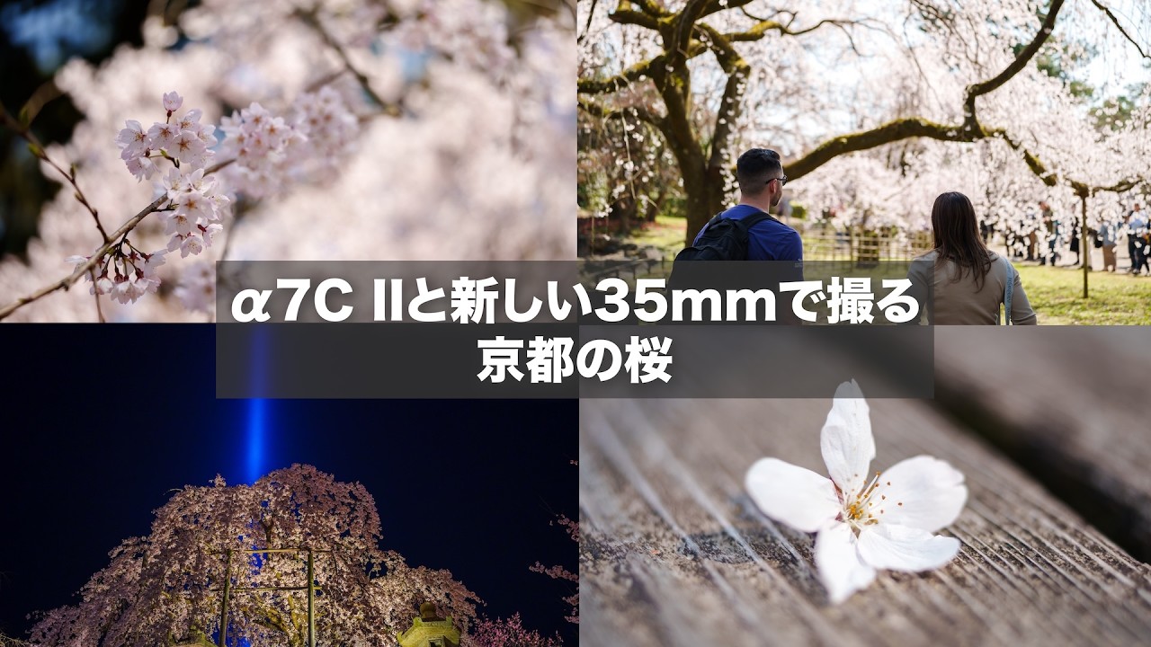【この組み合わせあり！】α7CIIと新型 SIGMA 35mm F1.4 DG II | Art で行く京都の桜