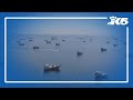 US launches new strikes as Iran war escalates