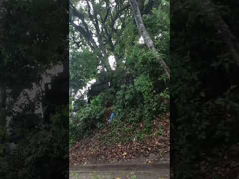 lluvias Fuertes En Tesalia Huila ✌️