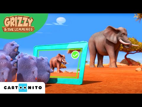 Grizzy i lemingi | Afryka | Cartoonito