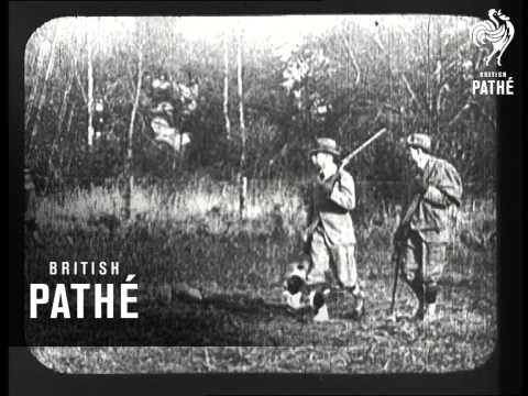 King Edward VII At Sandringham (1909)