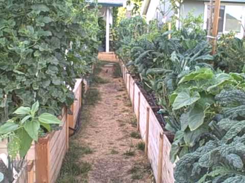 download lagu mp3 mp4 Urban And Suburban Gardens, download lagu Urban And Suburban Gardens gratis, unduh video klip Urban And Suburban Gardens
