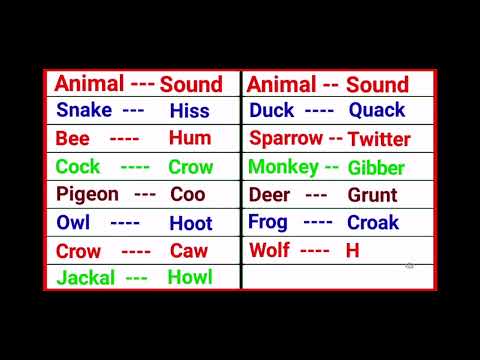 Animals sounds cries of animals EP27 Wolf Howl