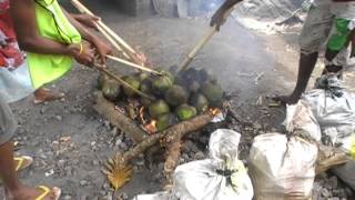 New Caledonia Cruise Jan 11 2014