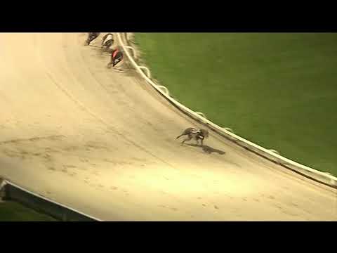 2018 STAR SPORTS DERBY PLATE - HEAT 3 - T6 KING KID