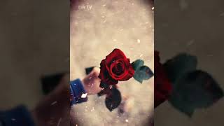 "çıma çuyi"Duygusal Kürtçe WhatsApp durum videoları için abone olmayı 