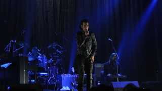 Nick Cave and the Bad Seeds &quot;Push the Sky Away&quot; - LIVE 2013 (Hamburg, Germany) - HQ
