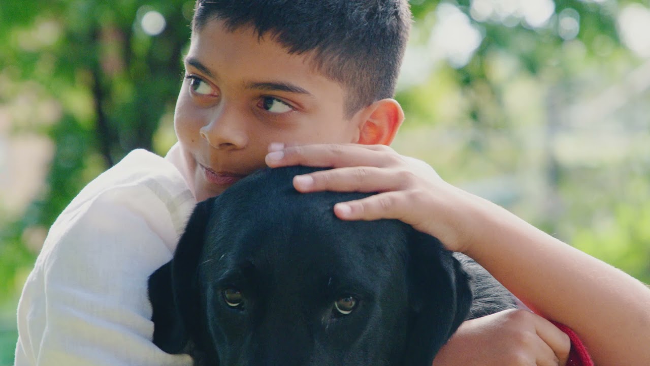 The Compass Assistance Dogs Program - Life-Changing Service Dogs for People with Disabilities