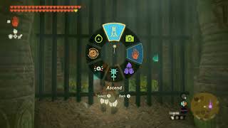 Discovery: Construction Site Cave, Akkala Highlands | The Legend of Ze