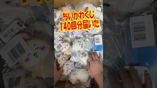 むちゃでかダンボール大量に届いた！ちいかわ&ハチワレだらけくじ140回分の賞品紹介するよ!! #shorts #short #ちいかわ