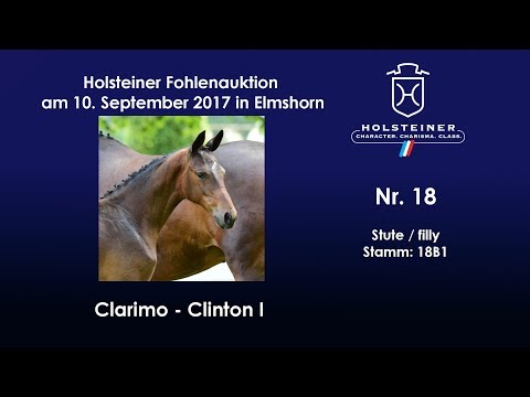 Nr. 18 v. Clarimo - Clinton I
