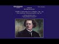 Violin Concerto in G Major, Op. 46: I. Moderato assai