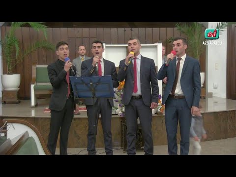 Tulpan Brothers - Auzim un freamat mare