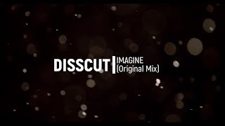 Disscut - Imagine (Original Mix) [VREC001]
