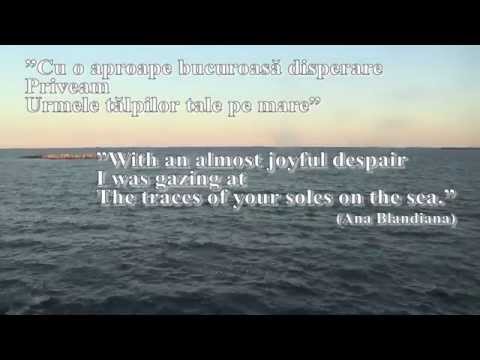 Romanian in Use - Excerpts From Some Romanian Poems About the Sea