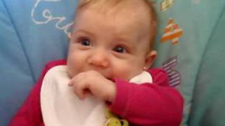 Cantando el pollito lito