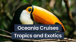 Oceania Tropics & Exotics Collection | Panache Cruises
