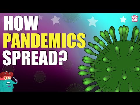 How Pandemics Spread? - PANDEMICS - What Is A Pandemic?