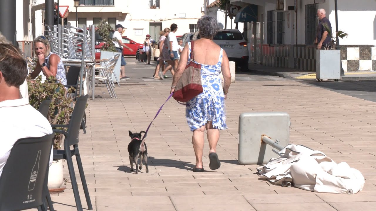 Campaña de Limpieza contra las micciones de las mascotas