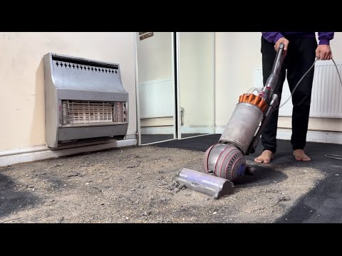 Dyson Ball Animal 3 Extra vacuum cleaner - [Performance Testing]