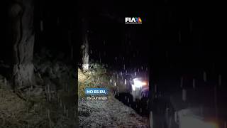 ¡MÉXICO VIVE LA TORMENTA INVERNAL! | Zonas de Durango comenzaron a llenarse de nieve