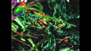 PSYCHOTIC WALTZ -Cold