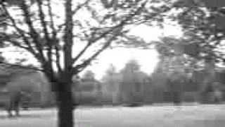 Karl Hyde - Your Translucent Skin