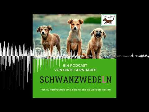 82 Workation - with a dog - Schwanzwedeln