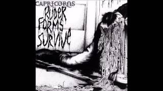 Capricorns - Ruder forms Survive (2005 - Full Album)