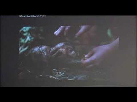 The Waterhorse: BLOG #2: Maken van Crusoe