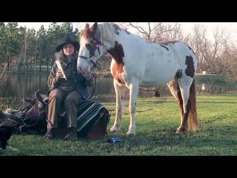 Possum Come a-Knockin