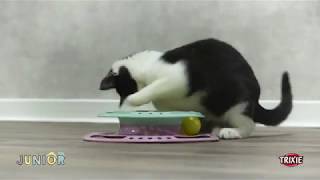 JUNIOR hračka kruh s míčky pro koťata 24 cm