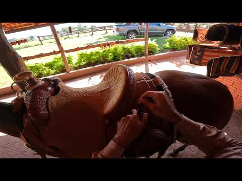 Calf Roping - Full Practice (Go Pro Hero 10)