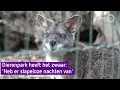 Bijna alle dierentuin zijn dicht, behalve De Paay in Beesd