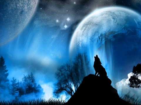 Magneto Vs. Echo Logic - Manga